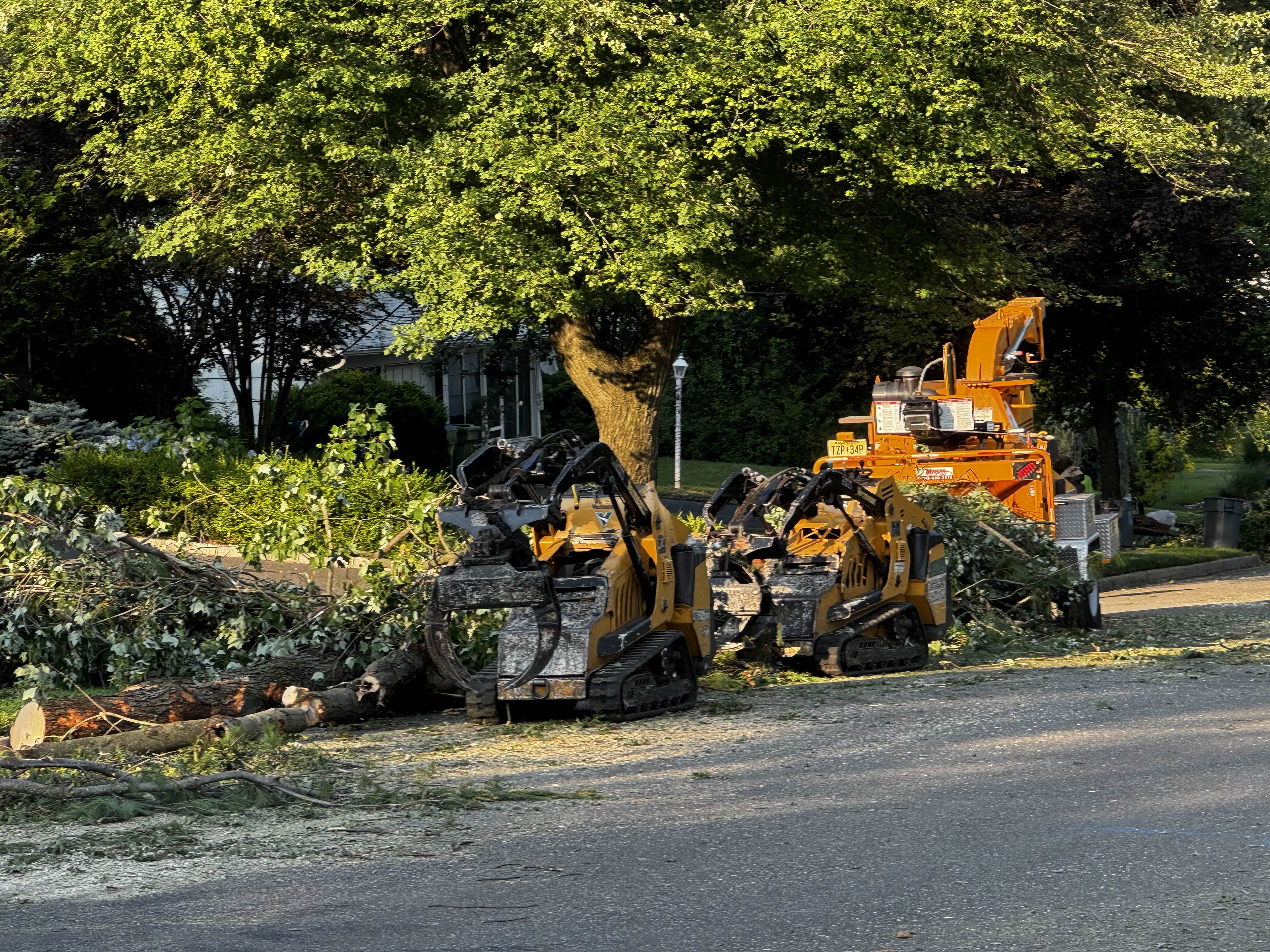 Contractors use equipment to clear out branches following the July 3 storm in North Edison. ZFJ/Zoe Wu
