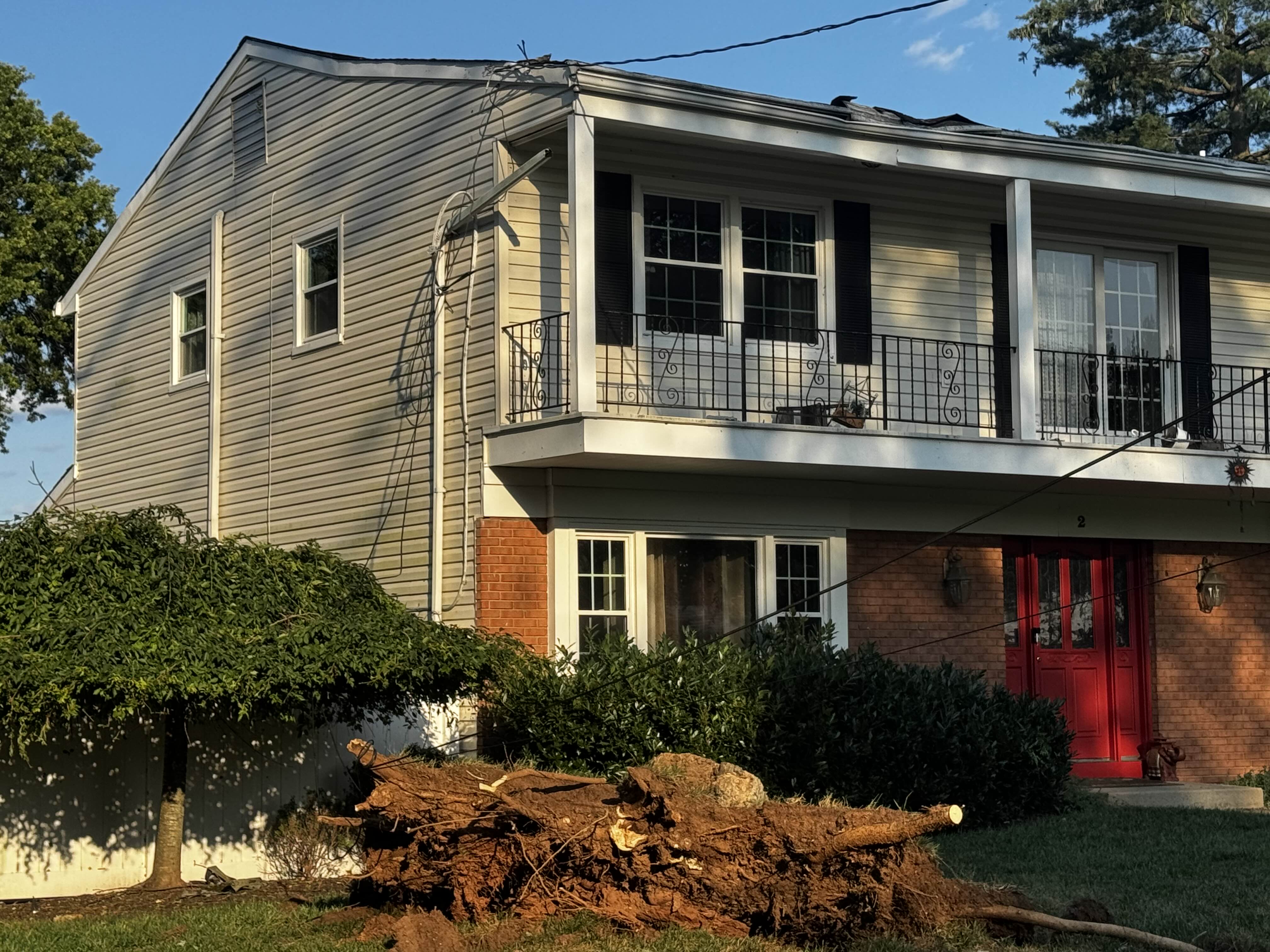 The roof of a house on Irene Court has sustained minor damage from a tree. ZFJ/Zoe Wu