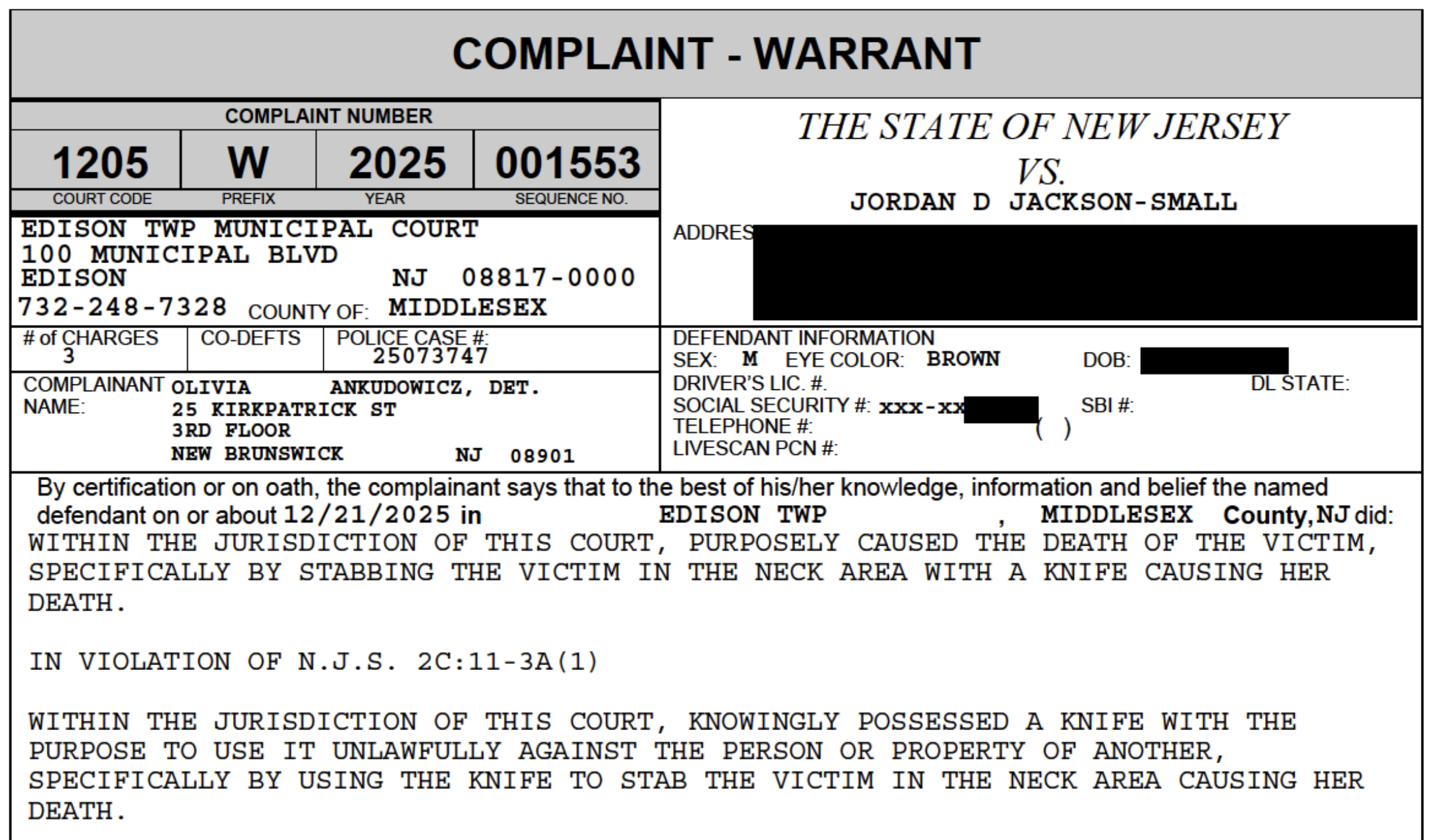 Edison man charged with stabbing, child endangerment